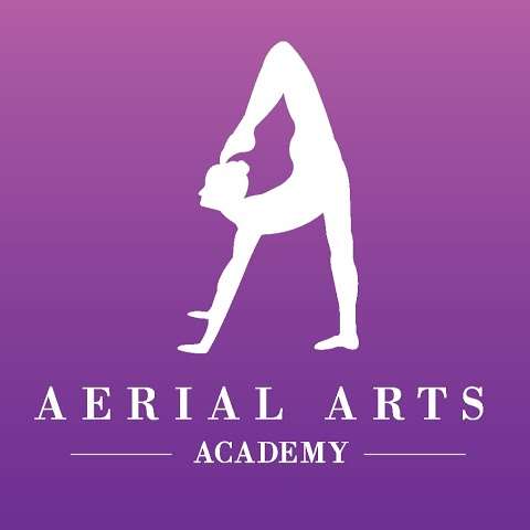 Photo: Aerial Arts Academy